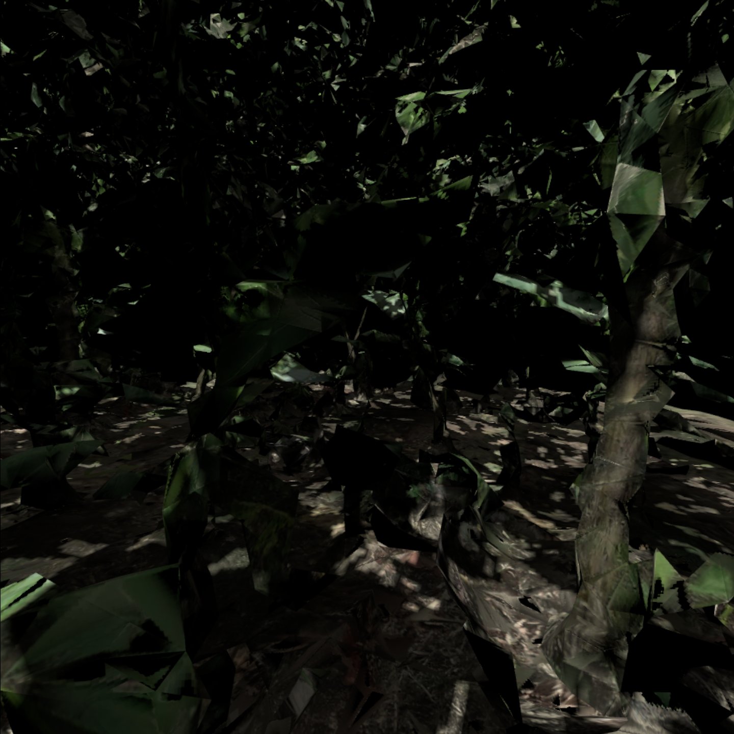 Puerto Narino VR